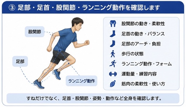 シンスプリントで足部・足首・股関節・ランニング動作を確認する図