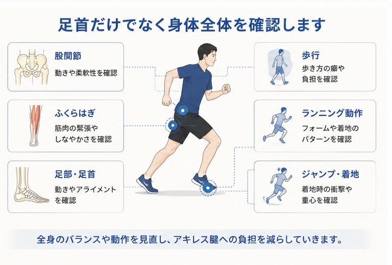 アキレス腱炎で足首だけでなく股関節や歩行とランニング動作を確認する図