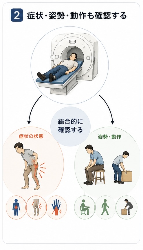 ヘルニアはMRIだけでなく姿勢や動作も確認します