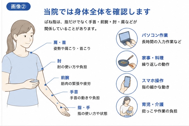ばね指で手首や肘・肩まで身体全体を確認するイメージ図