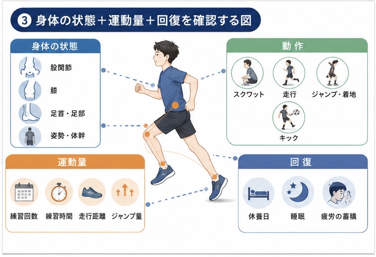 オスグッド病で膝・身体の動き・練習量・回復を確認する図