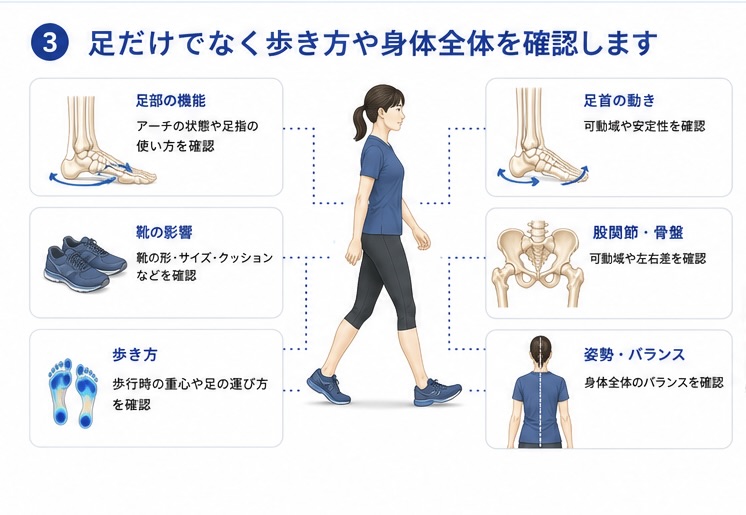 モートン病で足部・足首・股関節・歩行を確認する図
