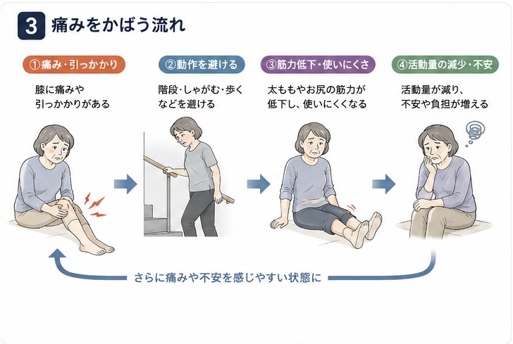 膝の痛みをかばい活動量が減る流れ