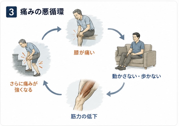 膝の痛みと筋力低下の悪循環を示す図