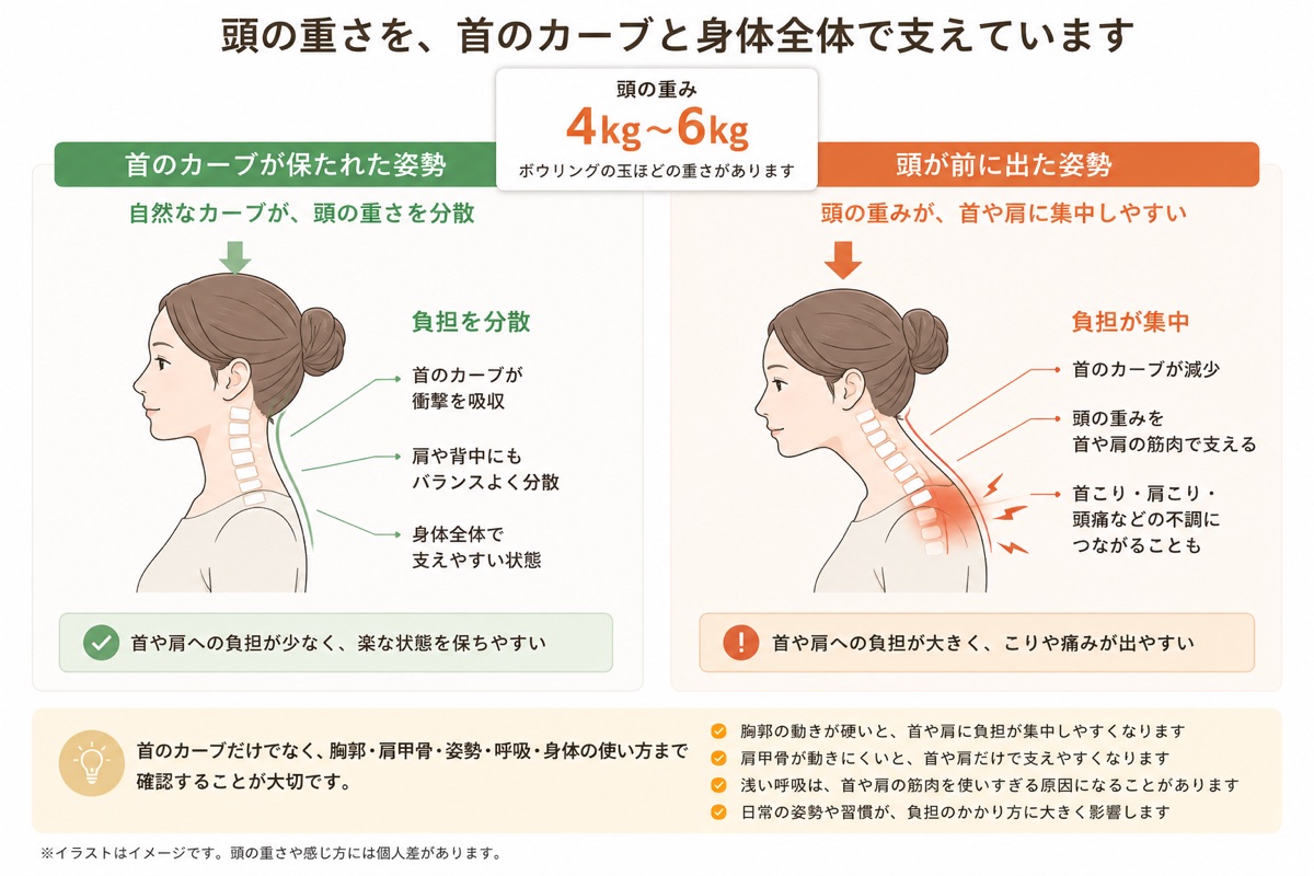 頭の重さを首のカーブと身体全体で支える姿勢と頭が前に出た姿勢の比較図