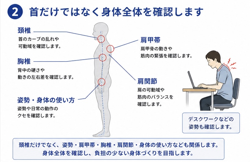 頚椎症で身体全体を確認するイメージ