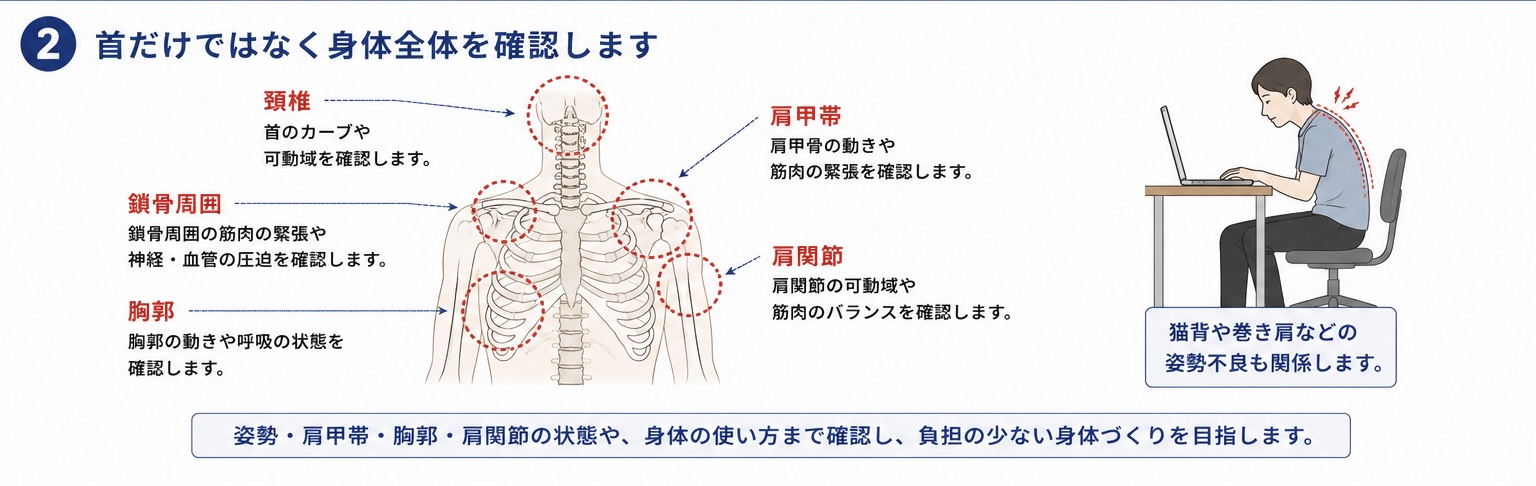 胸郭出口症候群で身体全体を確認するイメージ